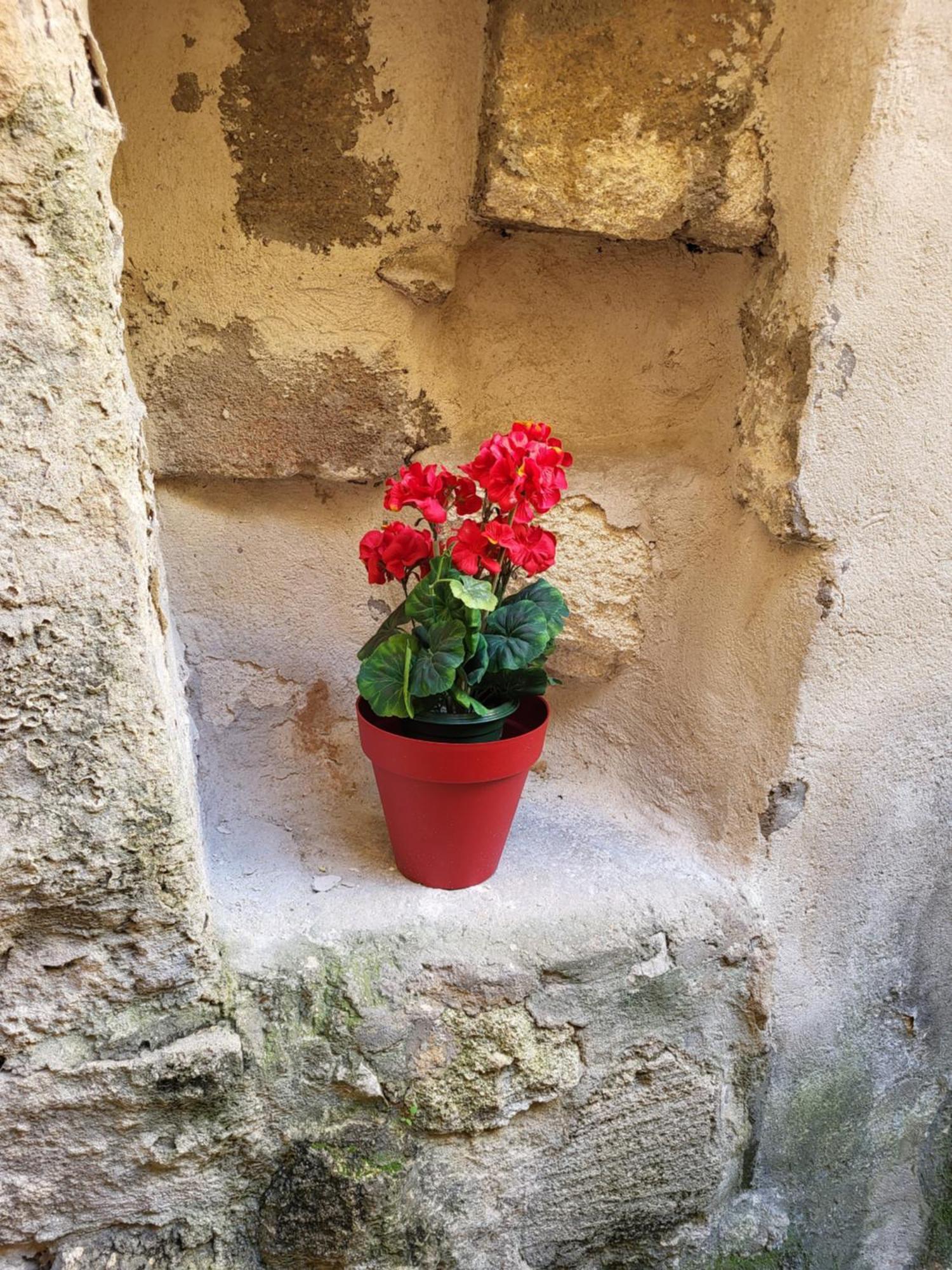 Studio/2 Pieces, Terrasse Avignon Exterior photo